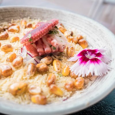 Ceviche de pulpo parmesano